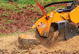 Lawn Pest Prevention in Stanton, KY